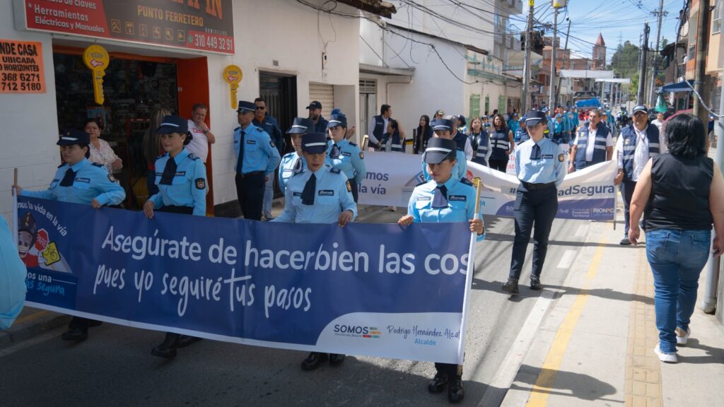 Seguridad vial