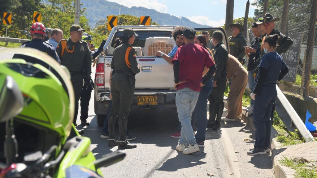Alcaldia-de-El-Retiro-brinda-albergue-temporal-a-26-perros-abandonados