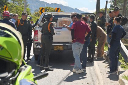 Alcaldia-de-El-Retiro-brinda-albergue-temporal-a-26-perros-abandonados