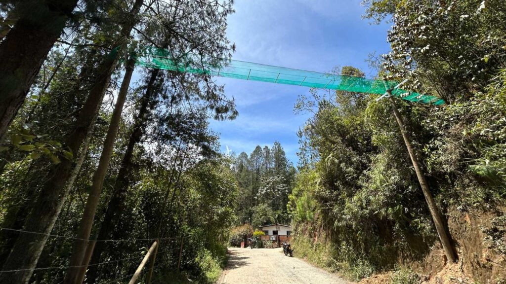 Alcaldia-de-El-Retiro-instala-pasos-seguros-para-fauna-silvestre