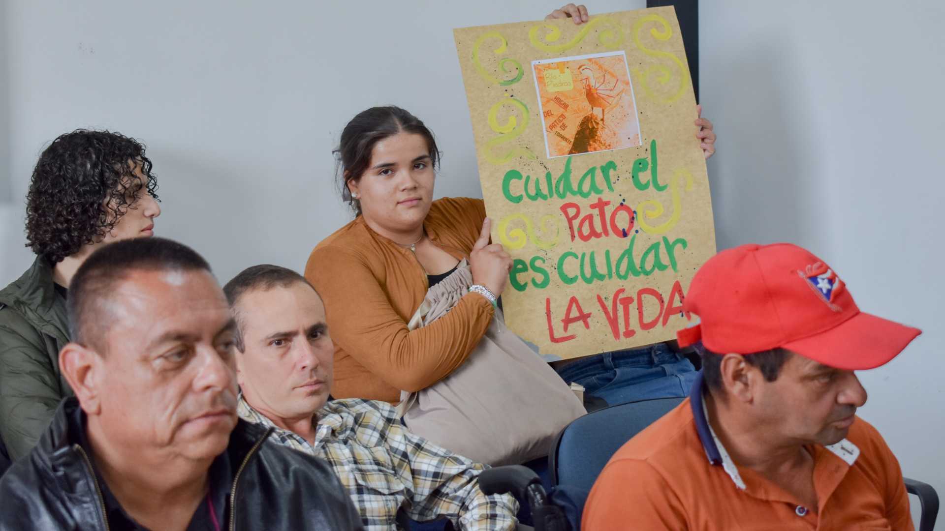 El-Concejo-Municipal-de-La-Ceja-declara-al-Pato-de-Torrentes-como-patrimonio-natural