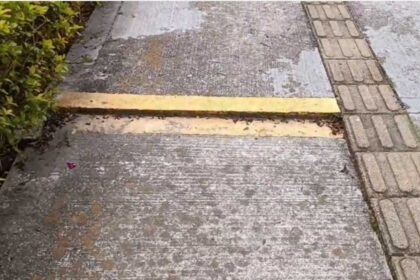 Denuncian-accidentes-en-sendero-peatonal-de-Piedrasanta-por-desnivel