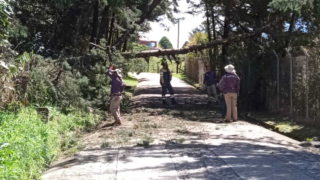 Fuertes-lluvias-causan-daños-en-Guatape-esta-es-la-situacion