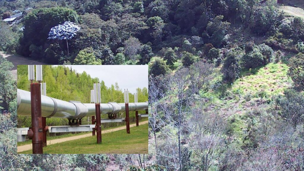 Imagen de referencia sólo para contexto - Foto: valoraanalitik.com